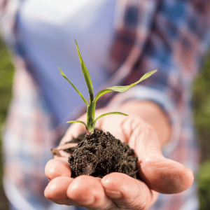 Eco-friendly Pesticides